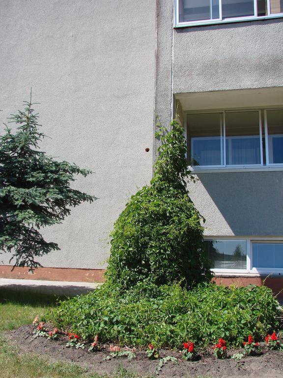 Pas Roma Šventoji Exterior foto